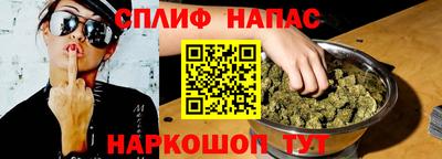 ешки Кингисепп