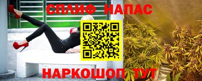 ешки Кингисепп