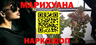 ешки Кингисепп