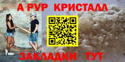 ешки Кингисепп